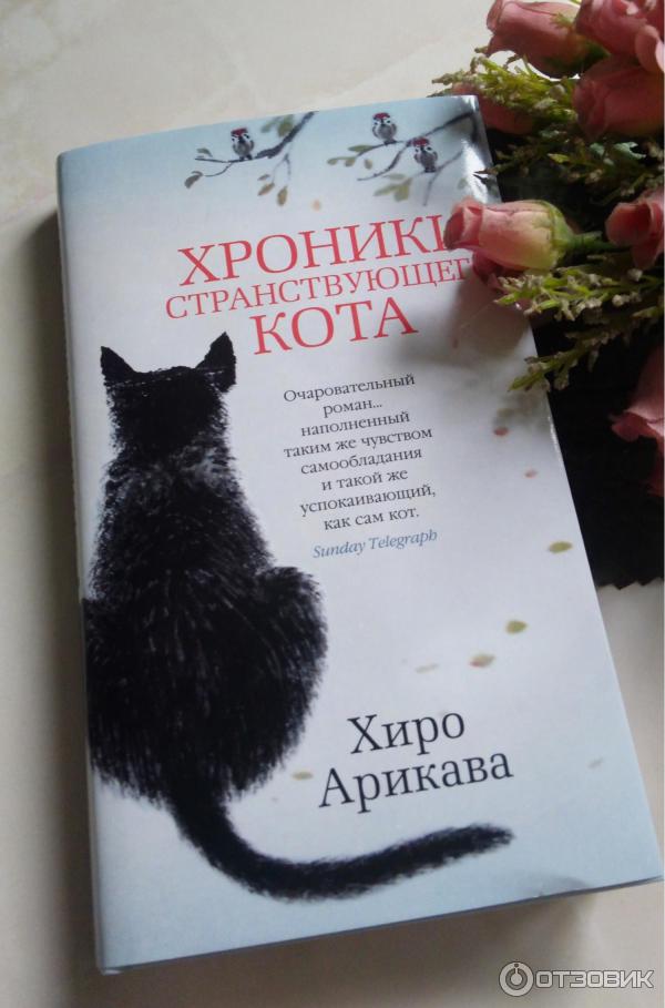 Хроники Странствующего Кота Купить Книгу