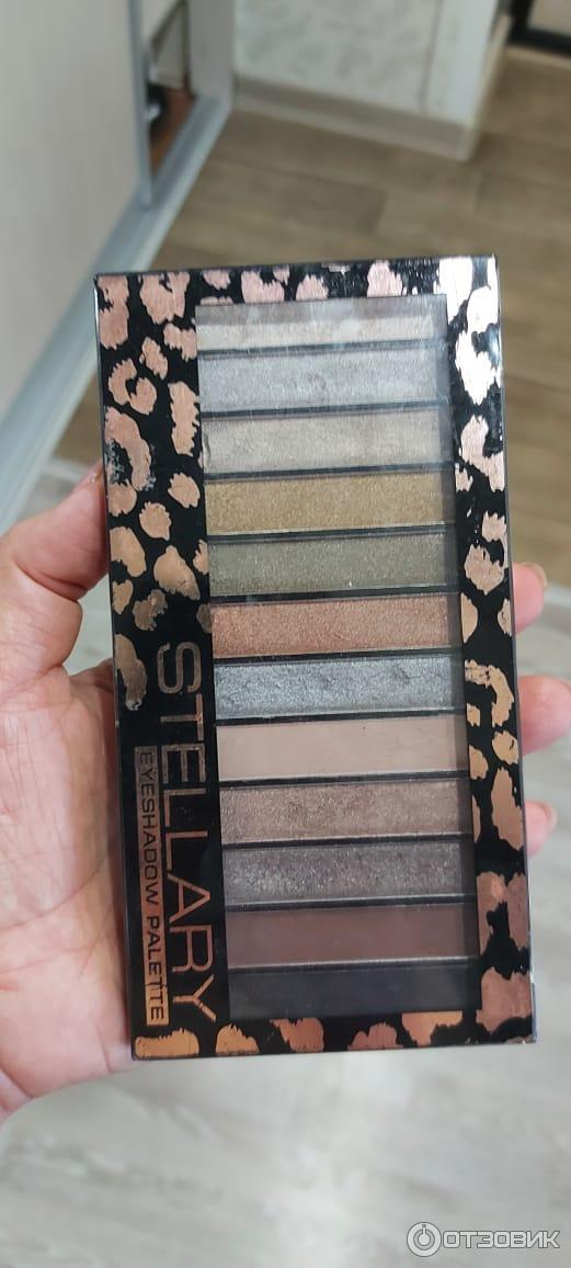 Палетка теней для век Stellary Eyeshadow Pallete 12 цветов фото