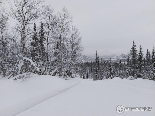 Трасса