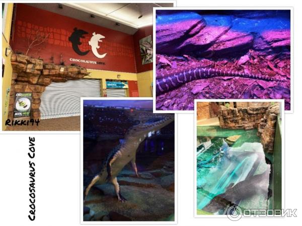 Парк дикой природы Crocosaurus Cove (Австралия, Дарвин) фото