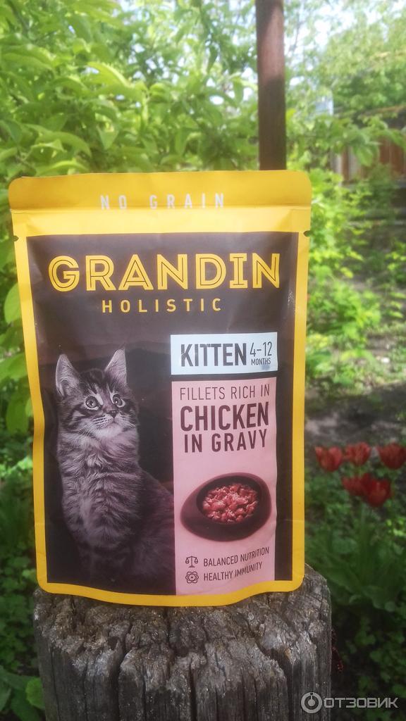 Grandin Корм Для Котят Купить