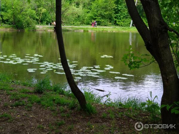 Природно-исторический парк Покровское-Стрешнево (Россия, Москва) фото