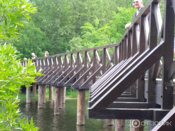 Природно-исторический парк Покровское-Стрешнево (Россия, Москва) фото