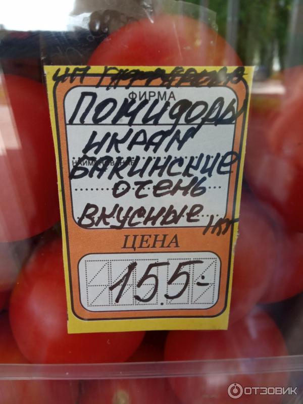 Помидоры Икрам Фото