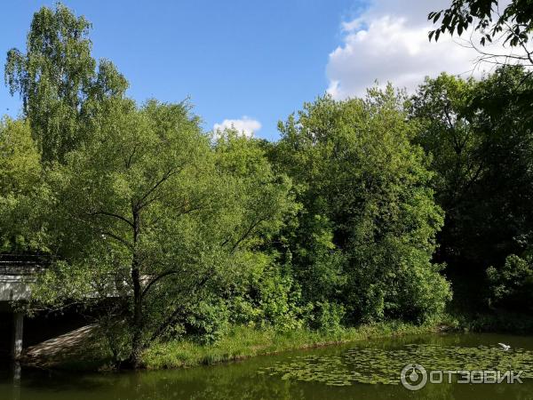 Царская усадьба Измайлово (Россия, Москва) фото