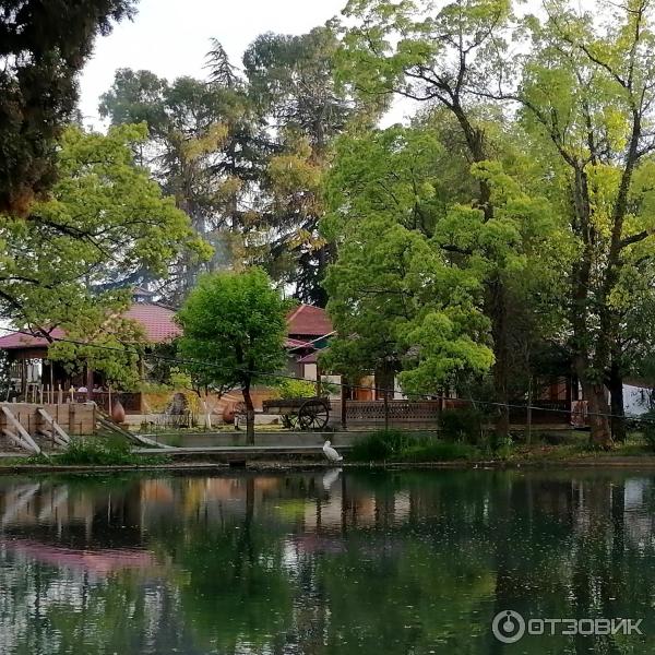 Экскурсия в Приморский парк (Абхазия, Новый Афон) фото