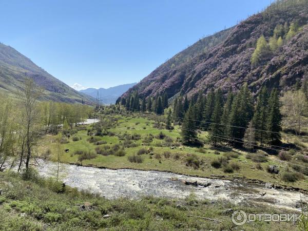 Путешествие по Горному Алтаю (Россия, Алтай) фото