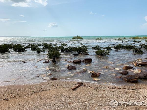 Пляж Mindil Beach (Австралия, Дарвин) фото