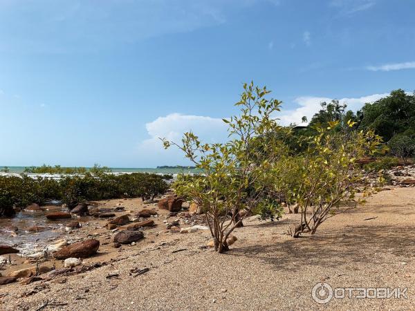 Пляж Mindil Beach (Австралия, Дарвин) фото