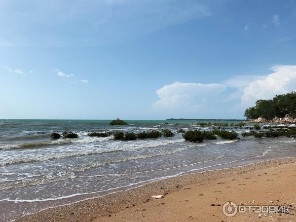 Пляж Mindil Beach (Австралия, Дарвин) фото