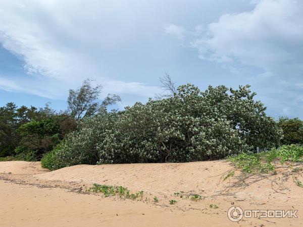 Пляж Mindil Beach (Австралия, Дарвин) фото