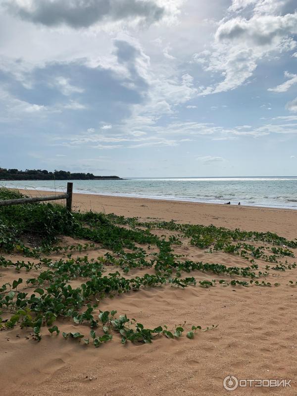 Пляж Mindil Beach (Австралия, Дарвин) фото