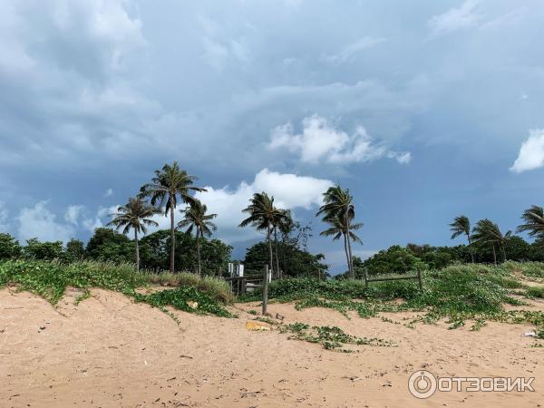 Пляж Mindil Beach (Австралия, Дарвин) фото