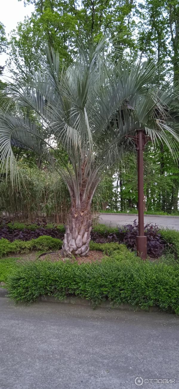 Отзывы о быстровозводимые дома в Лазаревское