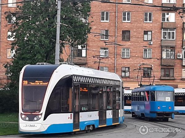 ������� 39 ������� ������