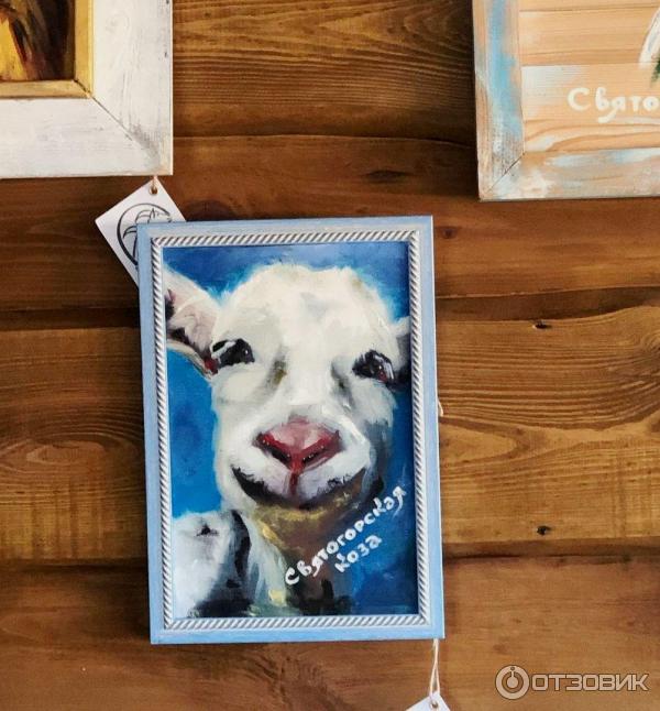 Экскурсия на ферму Святогорская коза (Украина, Святогорск) фото