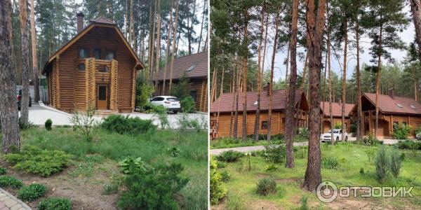 Экскурсия на ферму Святогорская коза (Украина, Святогорск) фото