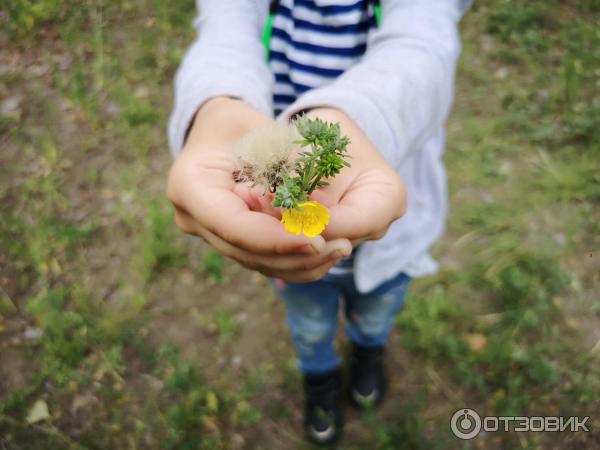 Отдых в селе Усовка (Россия, Саратовская область) фото