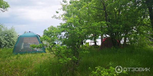 Отдых в селе Усовка (Россия, Саратовская область) фото