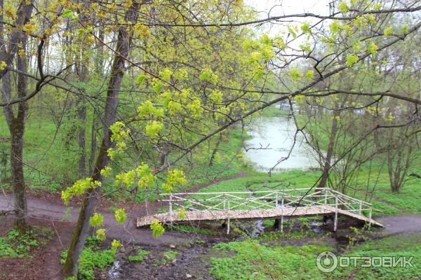 Ясная Поляна (Россия, Тульская область) фото