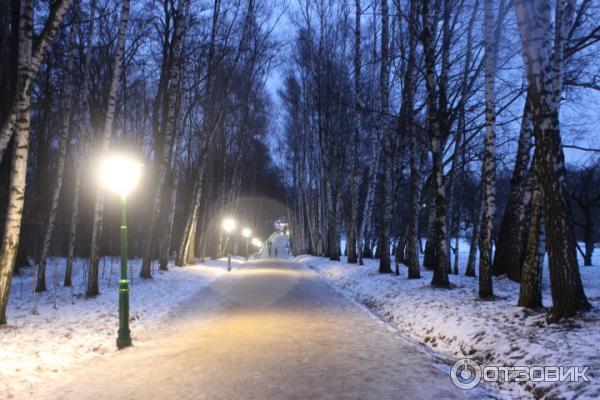 Ясная Поляна (Россия, Тульская область) фото