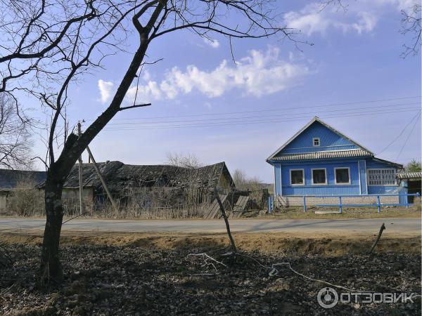 Храм Преображения Господня (Россия, Красное) фото