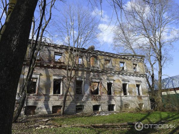 Храм Преображения Господня (Россия, Красное) фото