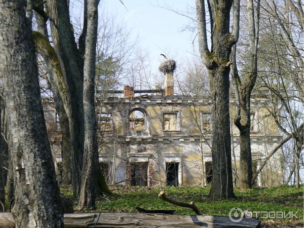 Храм Преображения Господня (Россия, Красное) фото