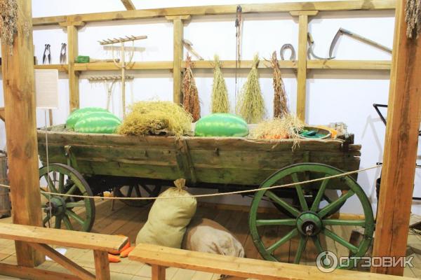 Выставка Сельское хозяйство и промыслы в Сарепте, Волгоград экспозиция