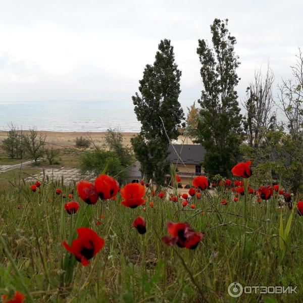 Перелет Санкт-Петербург- Махачкала (Аэрофлот/ Россия) фото