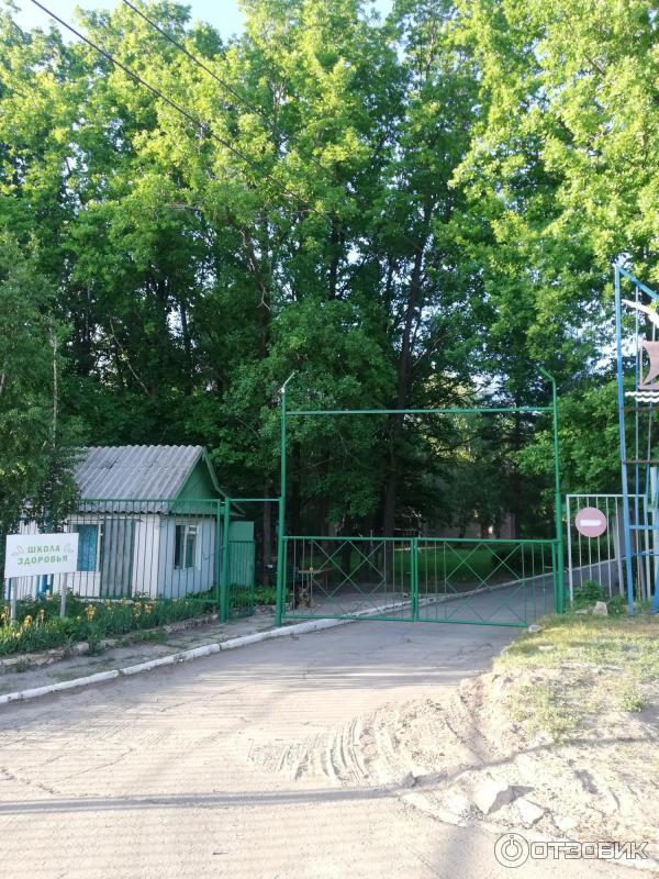 Здоровье сызрань