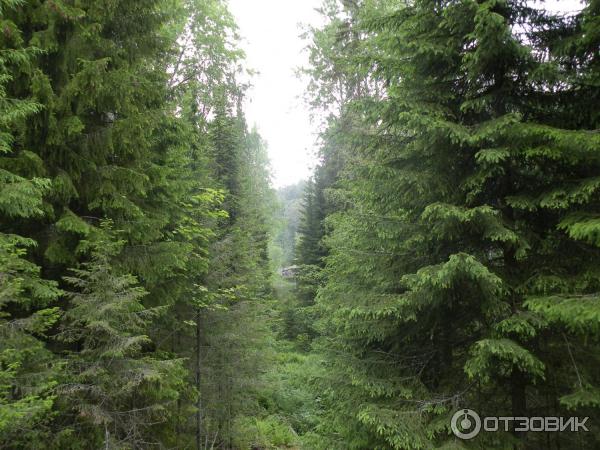 Путешествие на остров Валаам фото