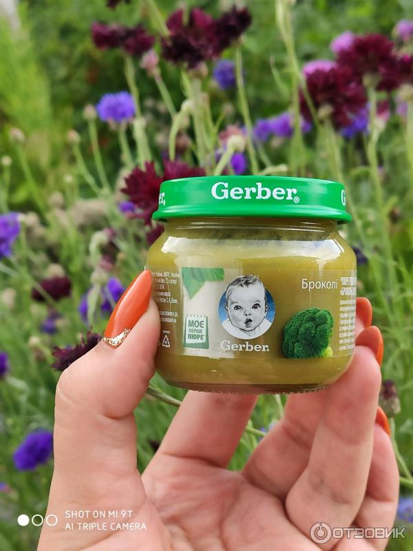 Детское пюре Gerber фото