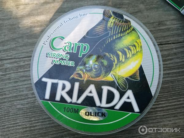 Леска Triada Carp Strong Master фото