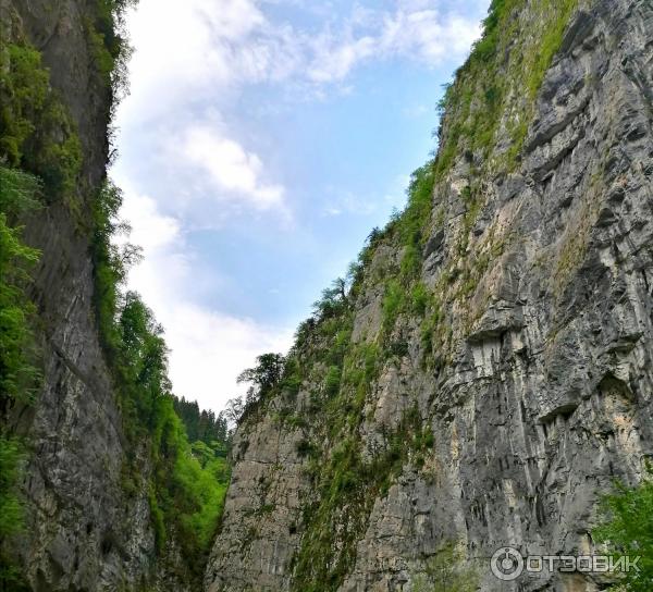 Экскурсия Золотое кольцо Абхазии от туроператора Вокруг Сочи (Абхазия) фото