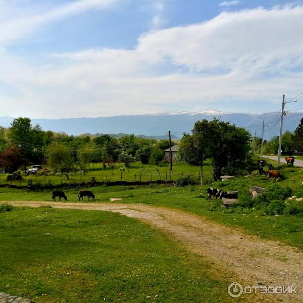 Экскурсия Золотое кольцо Абхазии от туроператора Вокруг Сочи (Абхазия) фото