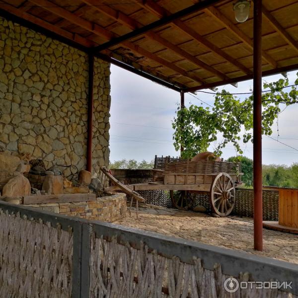 Экскурсия Золотое кольцо Абхазии от туроператора Вокруг Сочи (Абхазия) фото