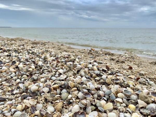 Пансионат Звезда, Азовское море, хутор Рожок, Таганрог