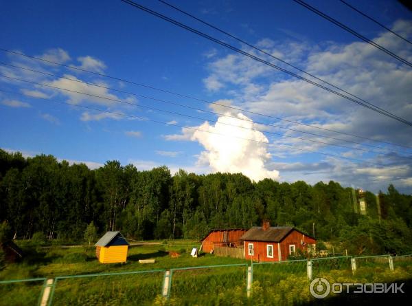 Поезд 725ЧА Ласточка Санкт-Петербург - Москва фото