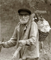 Mushroom Picker