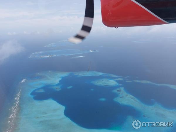 Авиакомпания Trans Maldivian Airways фото