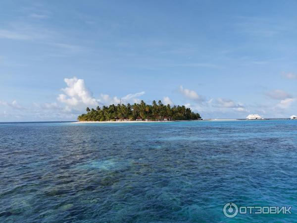 Авиакомпания Trans Maldivian Airways фото