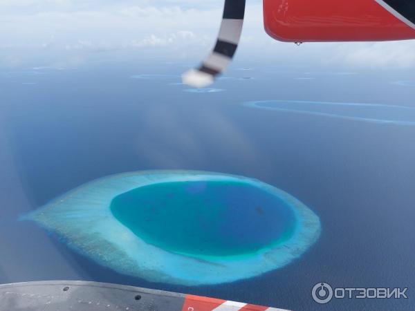 Авиакомпания Trans Maldivian Airways фото