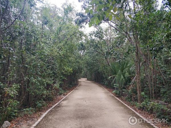Мексика Канкун достопримечательности фото Парк Parque Urbano Kabah