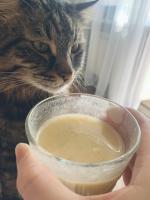 Фитококтейль для снижения веса Guarchibao Food Shake (быв. Guarchibao FatCaps) фото