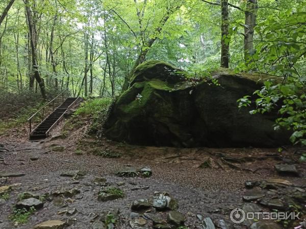 Волконский дольмен (Россия, Краснодарский край) фото