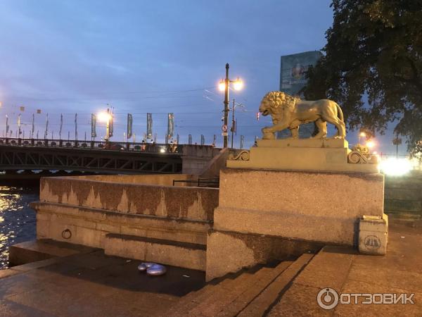 Музыкальный теплоход Ночной Петербург фото
