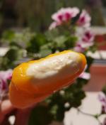 Пломбир ванильный в апельсиновой глазури "Чистая Линия" фото