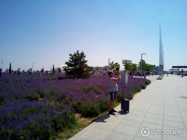 Международный аэропорт Симферополь (Крым) фото