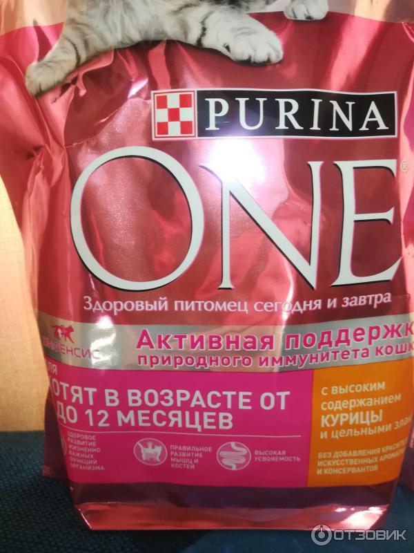 Корм для котят Purina One фото